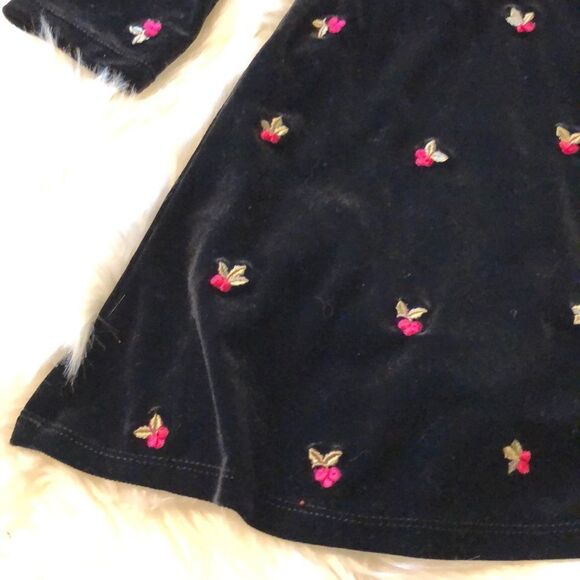 Circo Black Velvet Dress Embroidered Roses 12M - Picture 5 of 16